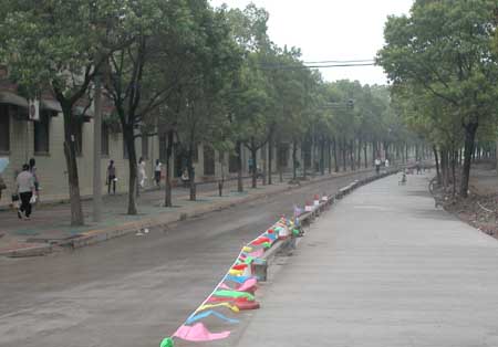 道路硅酸鹽水泥